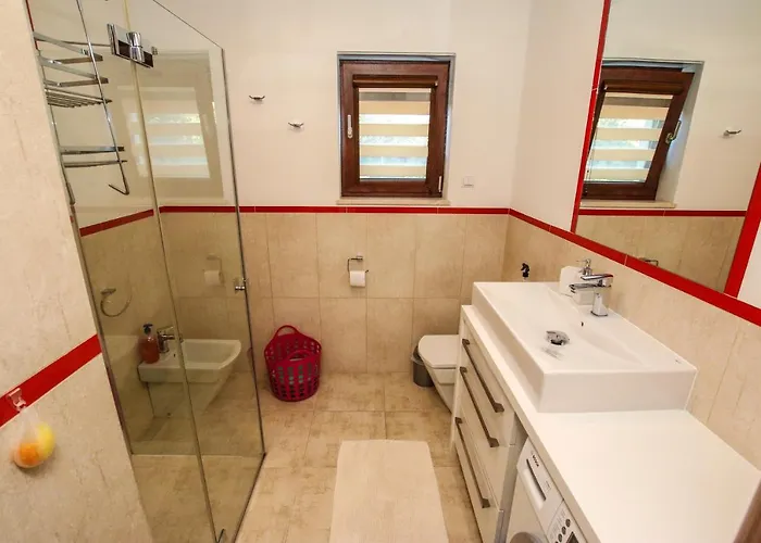 Tina 4 Stars 波雷奇